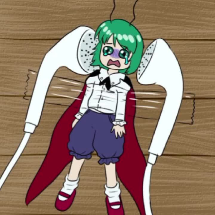 @✩𝐶𝐼𝑅𝑁𝑂✩