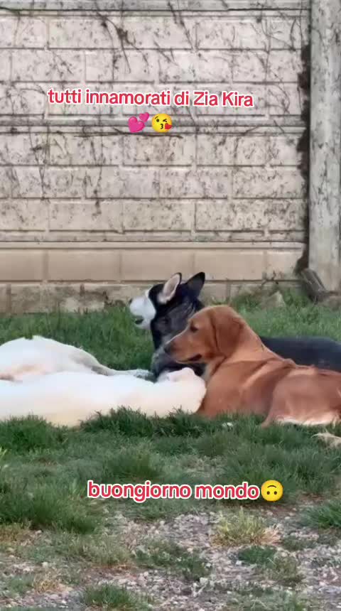 @KIRA❤️LEYLA💙