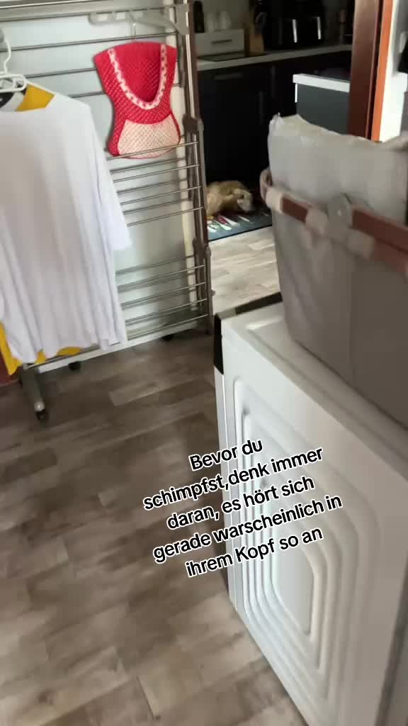@❤️Janet,Teddy und Blümchen❤️