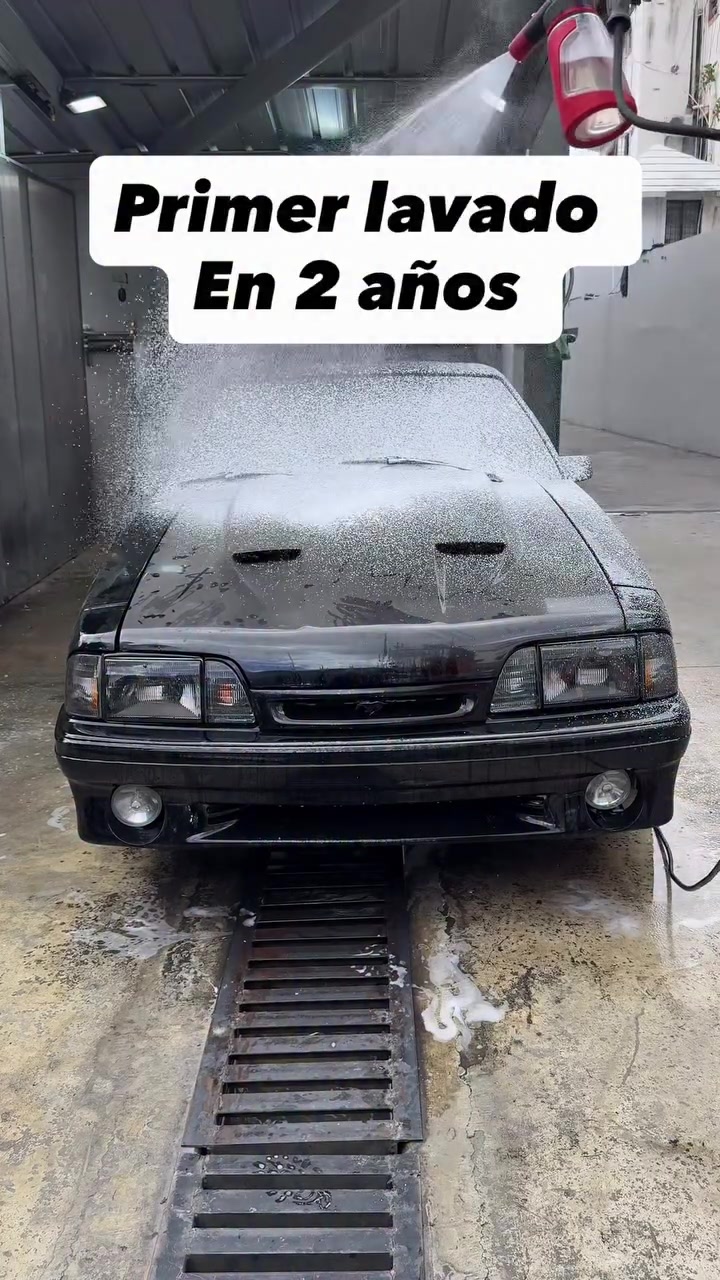 @Cocodrilo Auto Detailing
