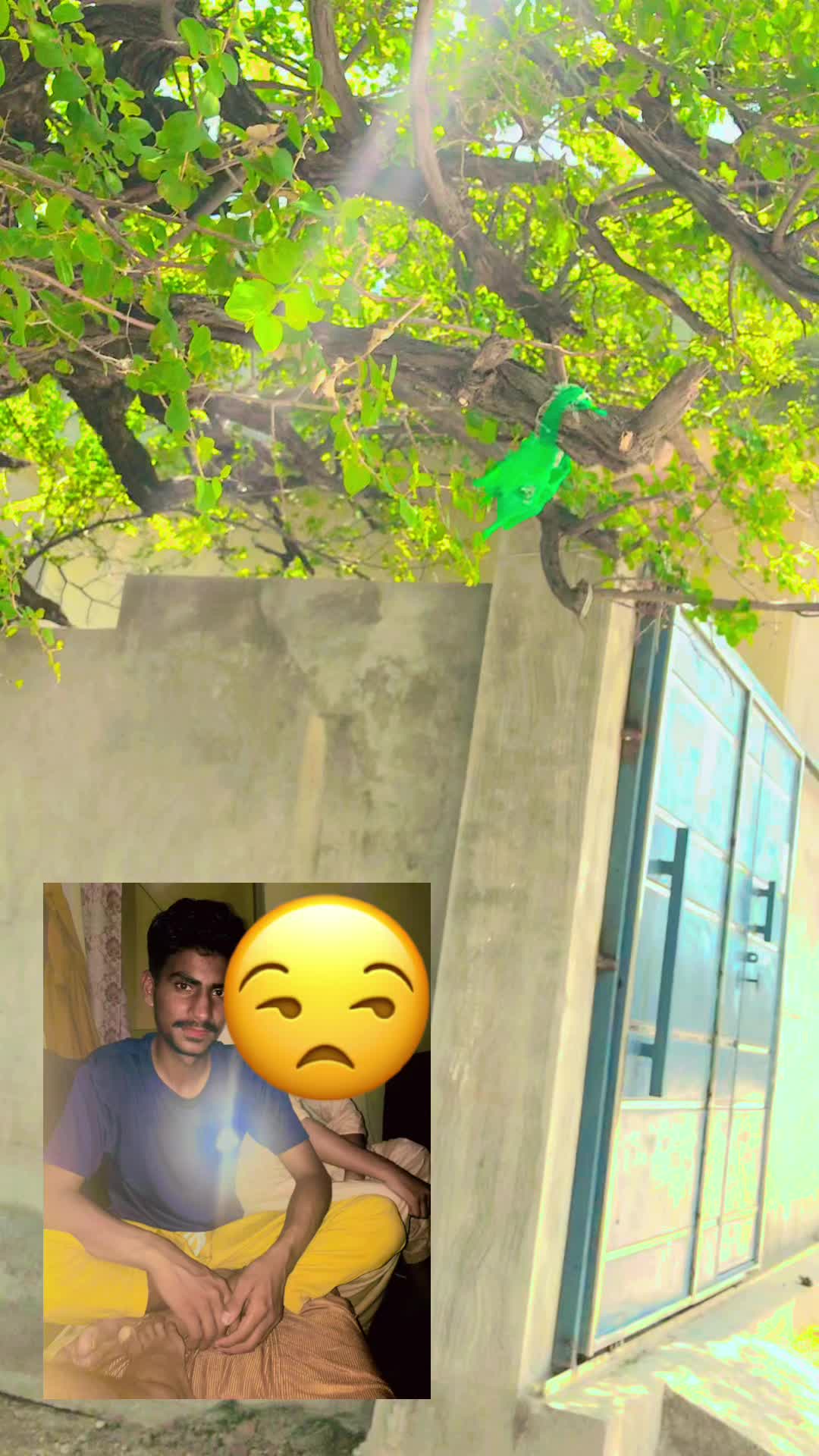 @Saif,Mughal,g