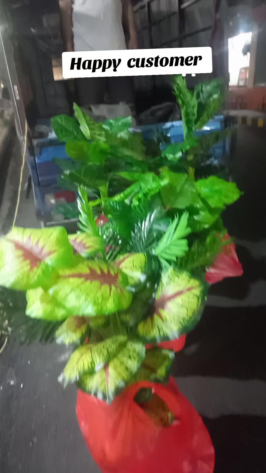 @Flora_p0int-dhumbarahi