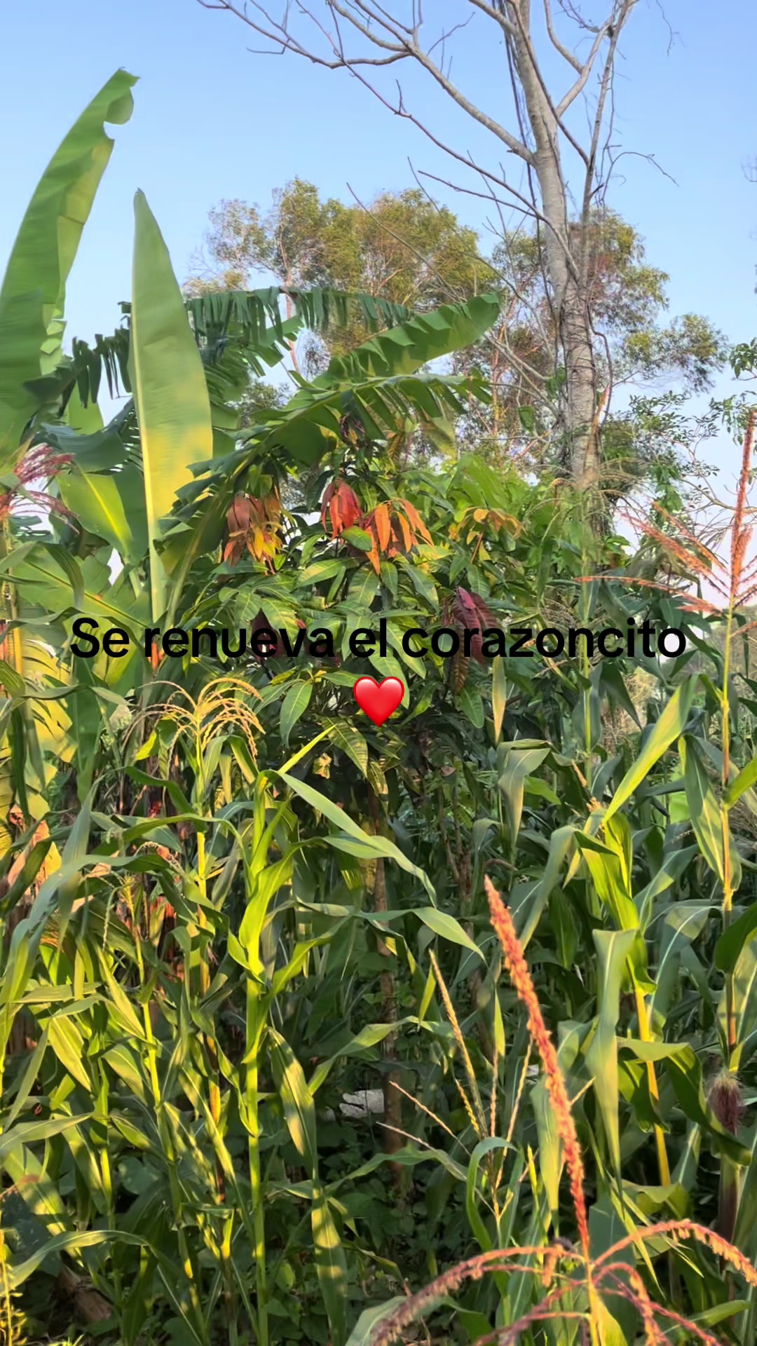 @Leydi Correa Gonzalez