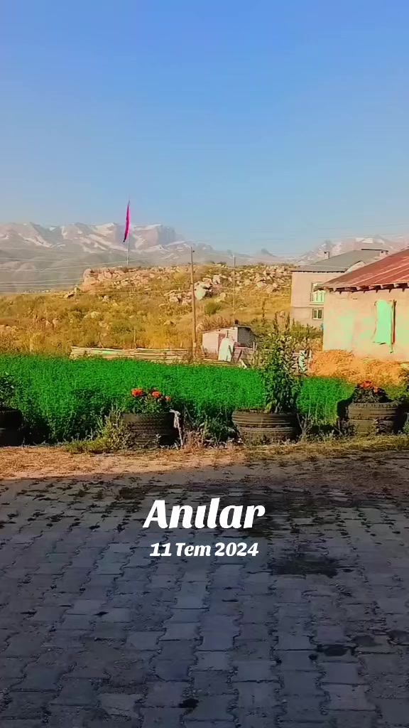 @VAN 65