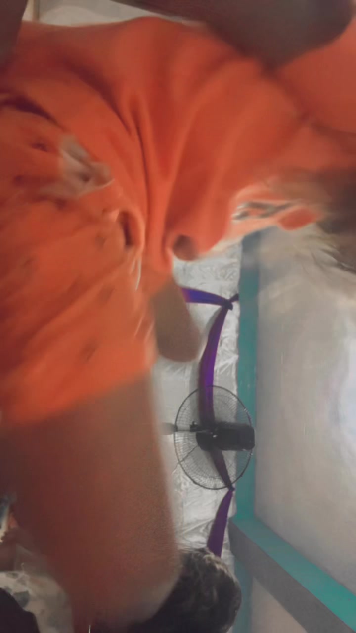 @saranghaeyo010