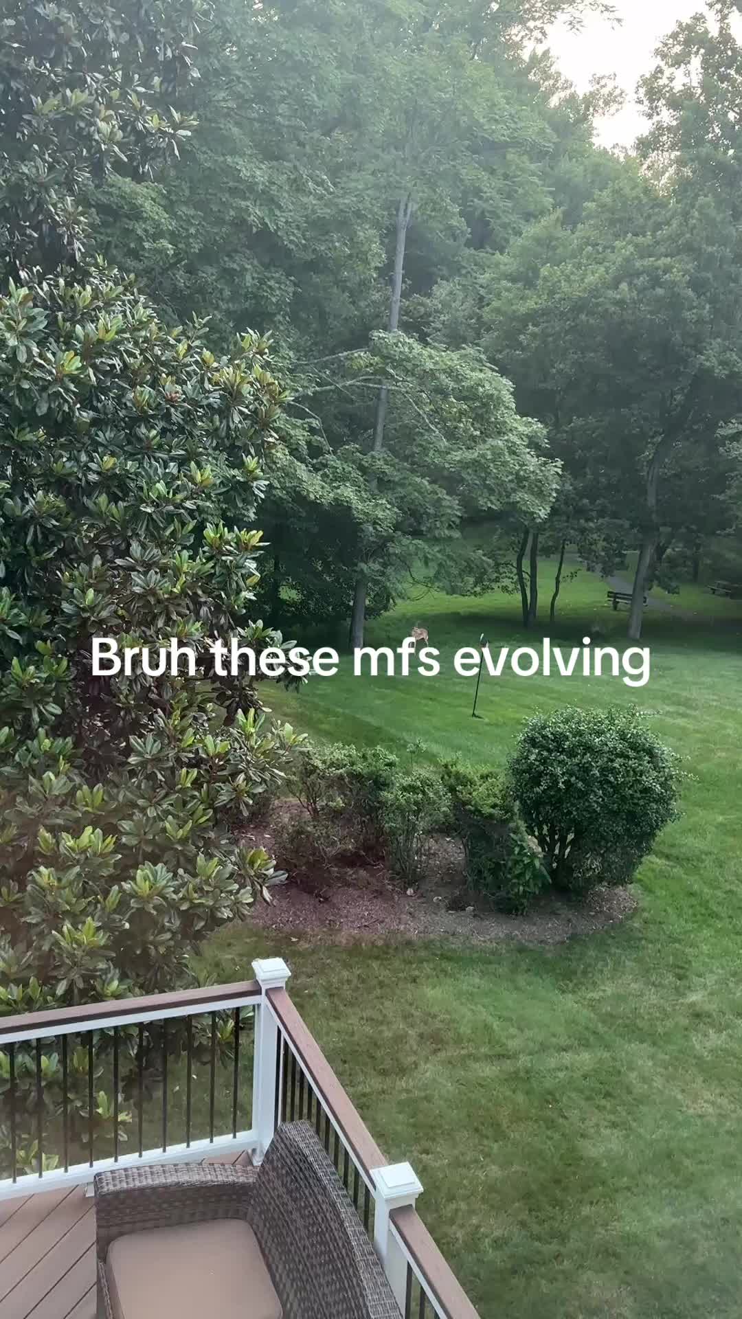 @Ryanzba