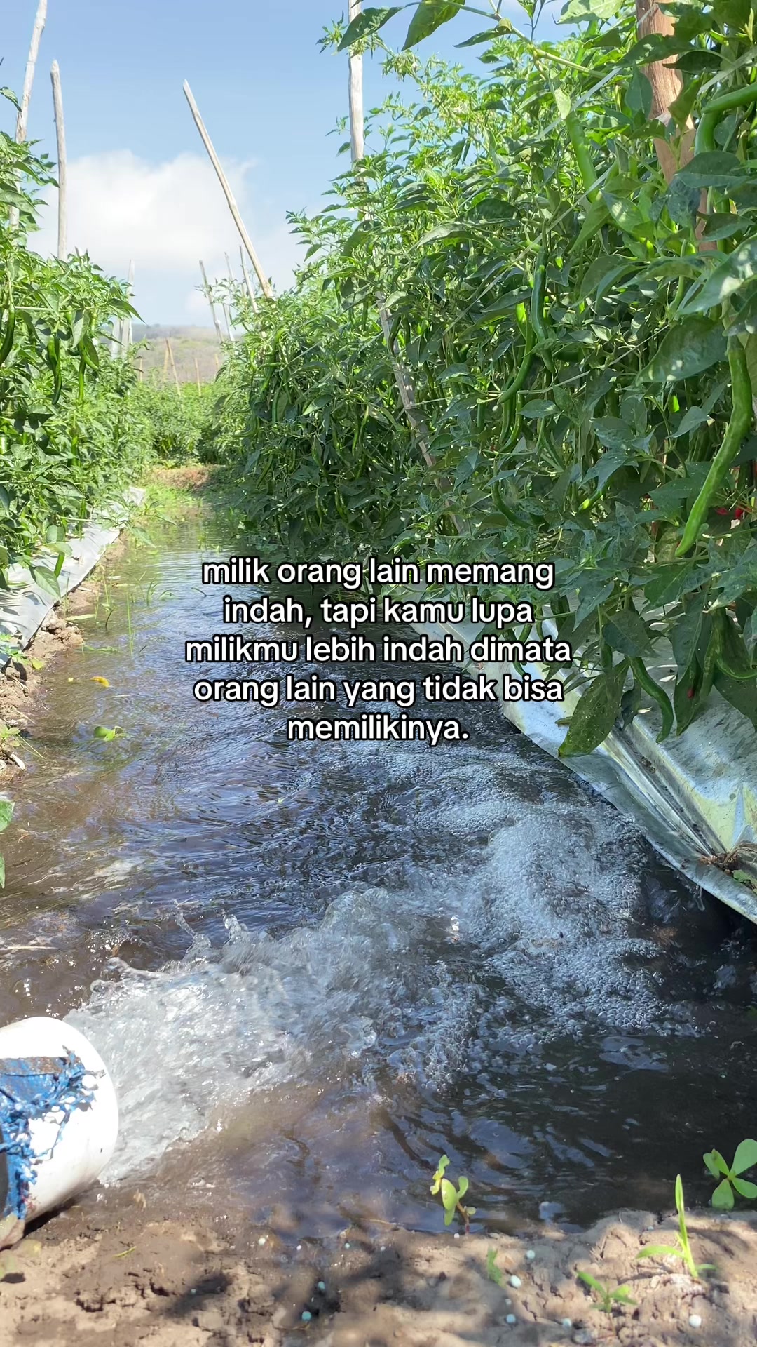 @Galang