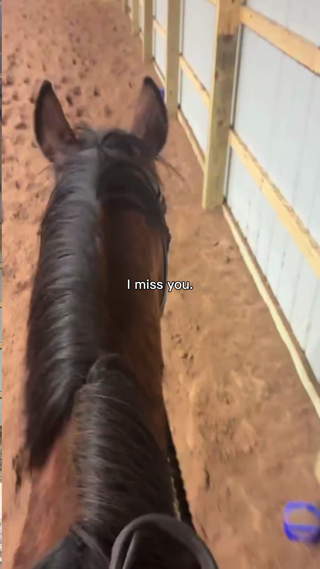 @🐎Aby 😌👌✨️