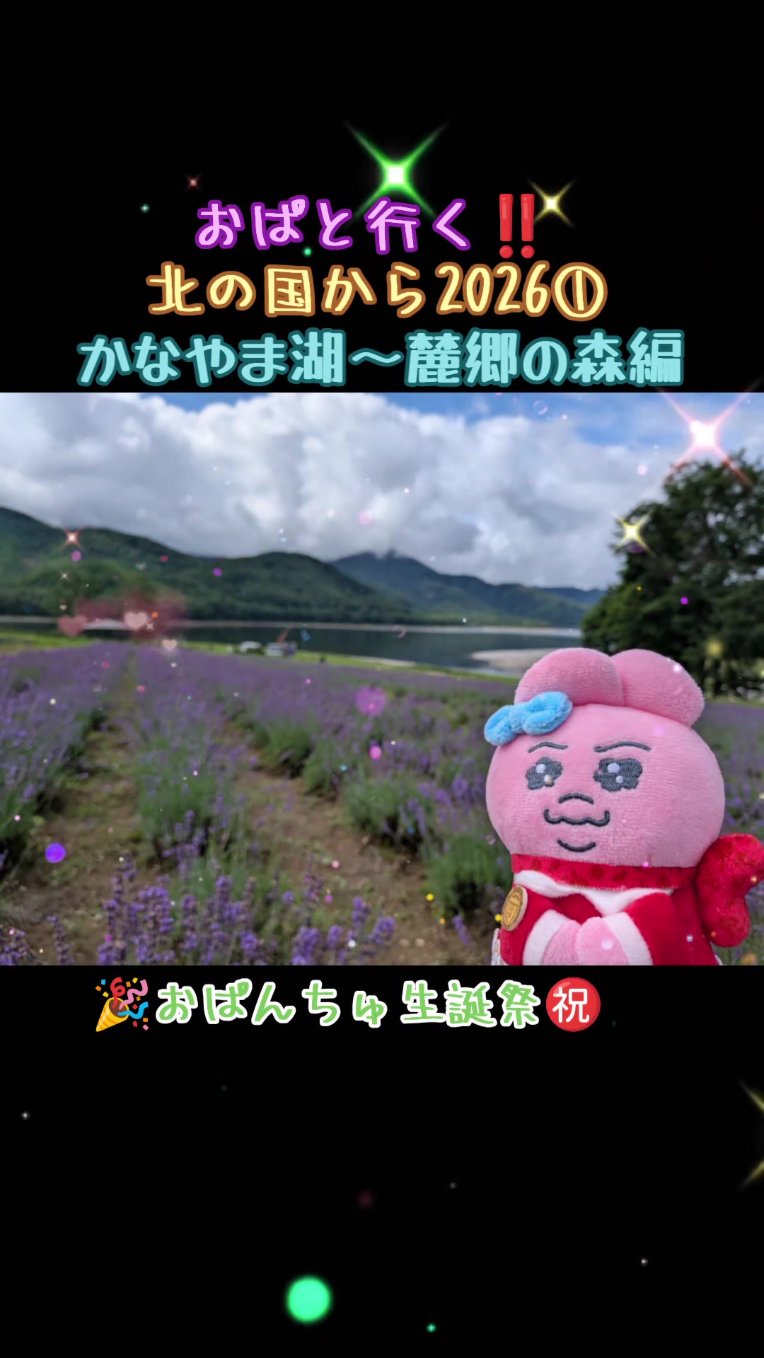 @ぱんちゅ一丁🐽🎶🌼