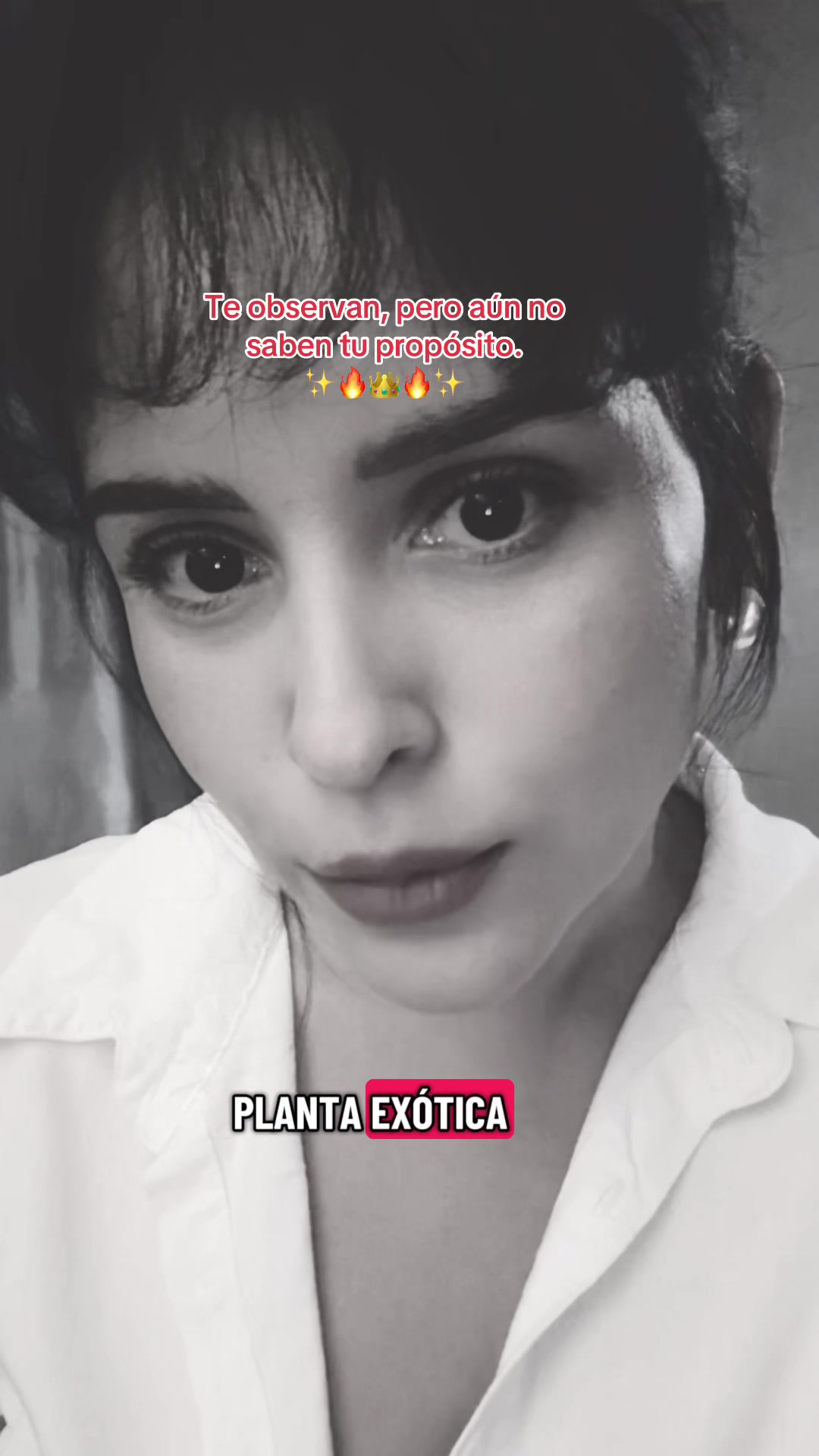 @Carla Carrillo