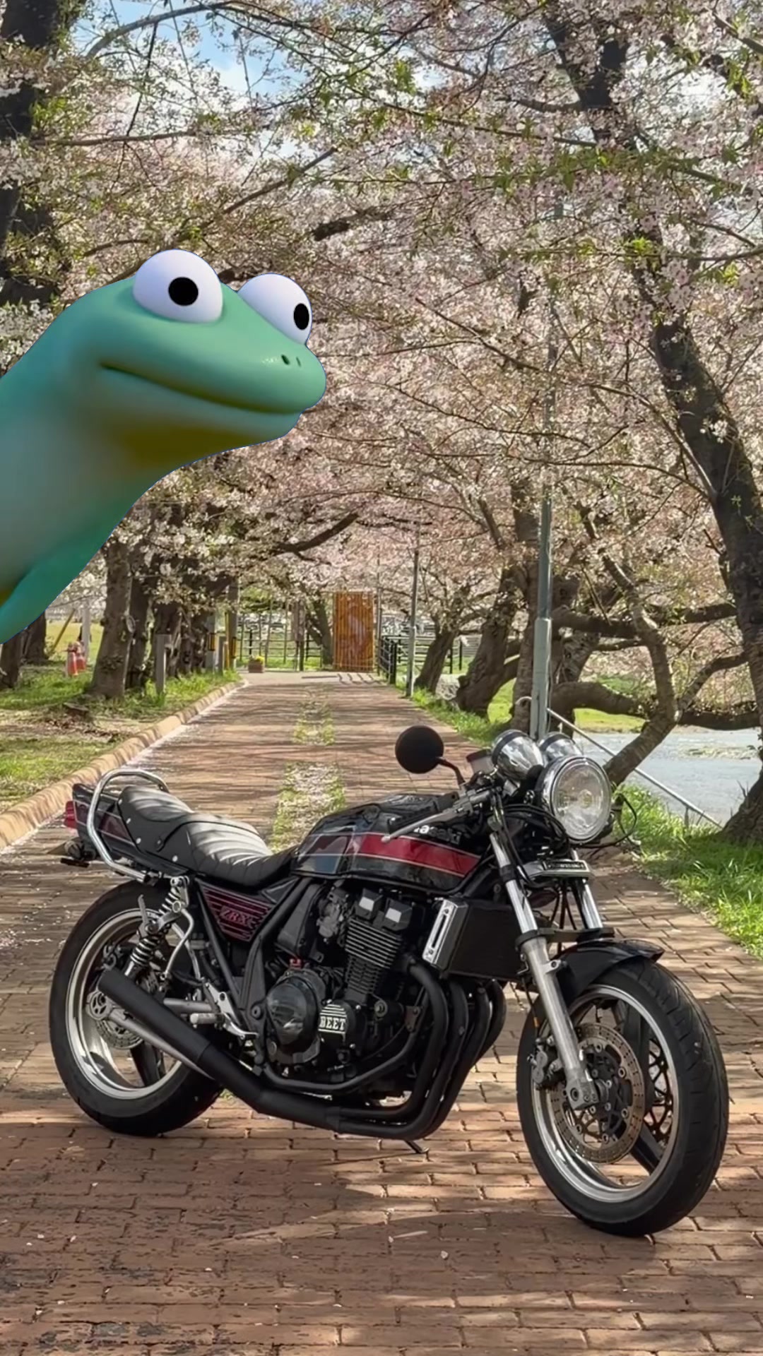 @樹