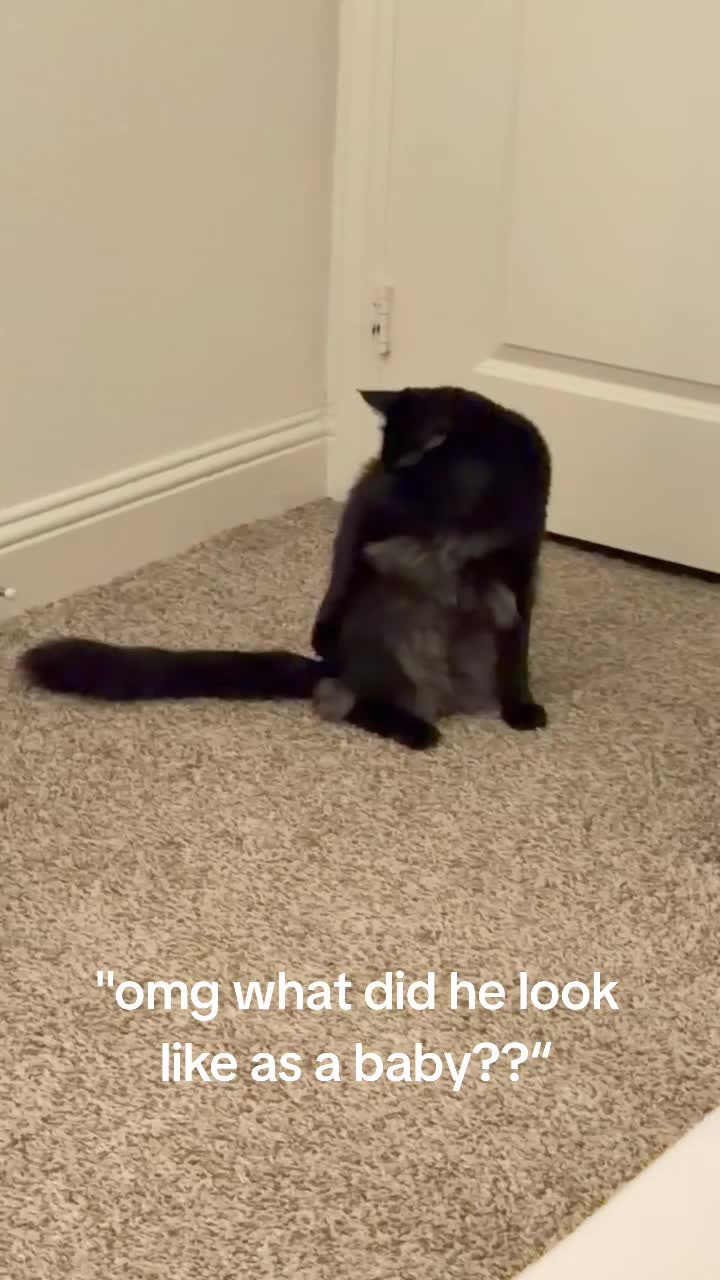 @⋆˚࿔𝐌𝐢𝐲𝐨𝐰𝐚˚⋆⛧