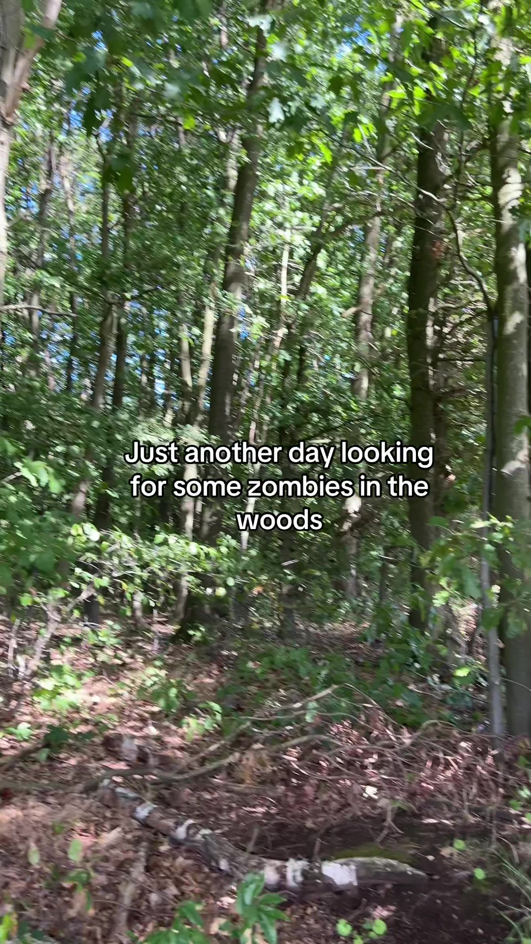 @TwdHolic