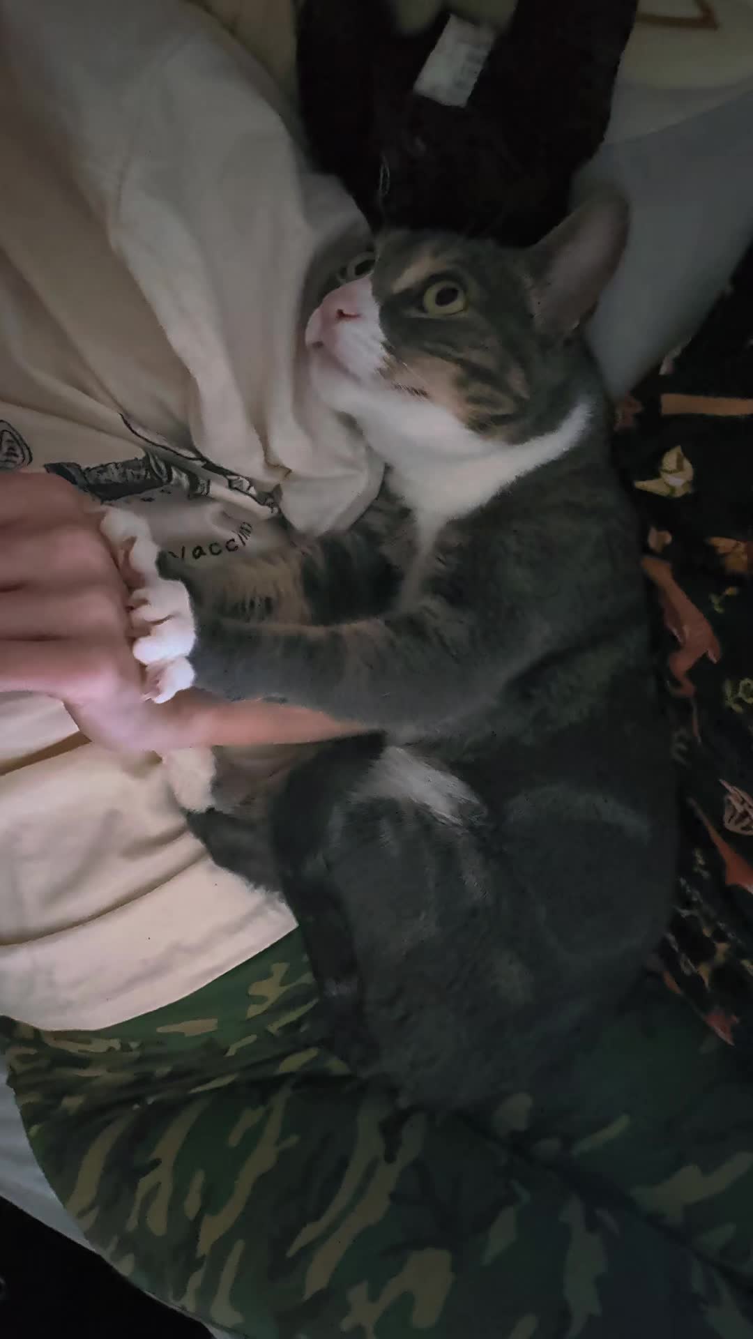 @BuffyTheKittenSpayer
