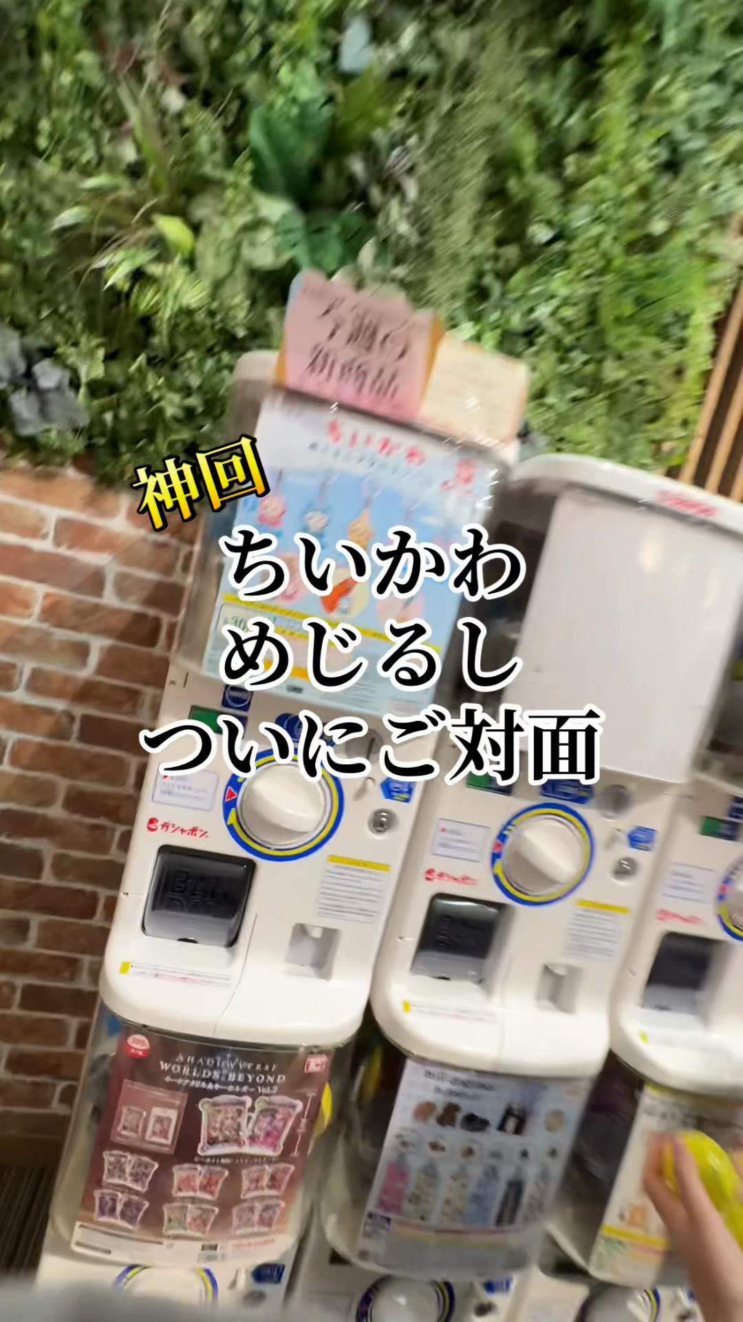 @にゃっ太