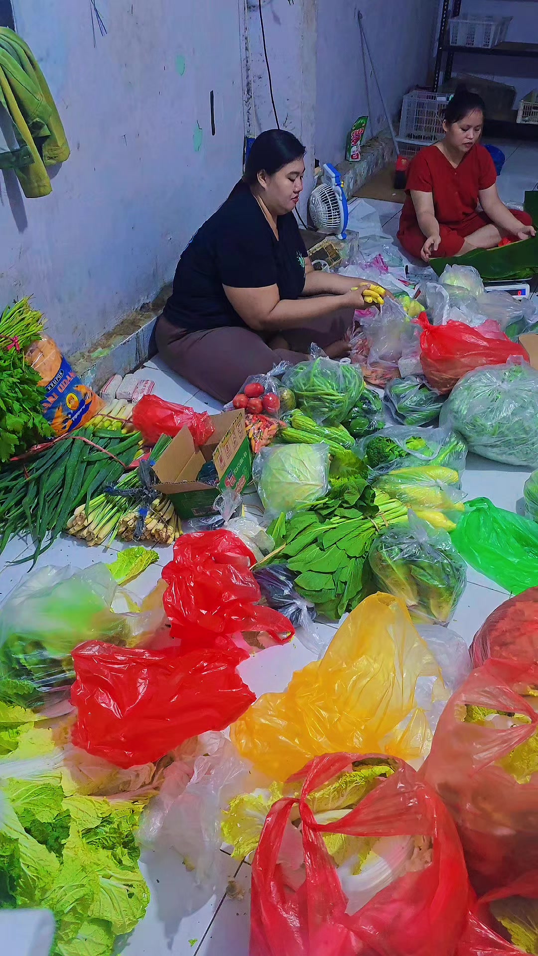 @supplier sayur dan buah sby