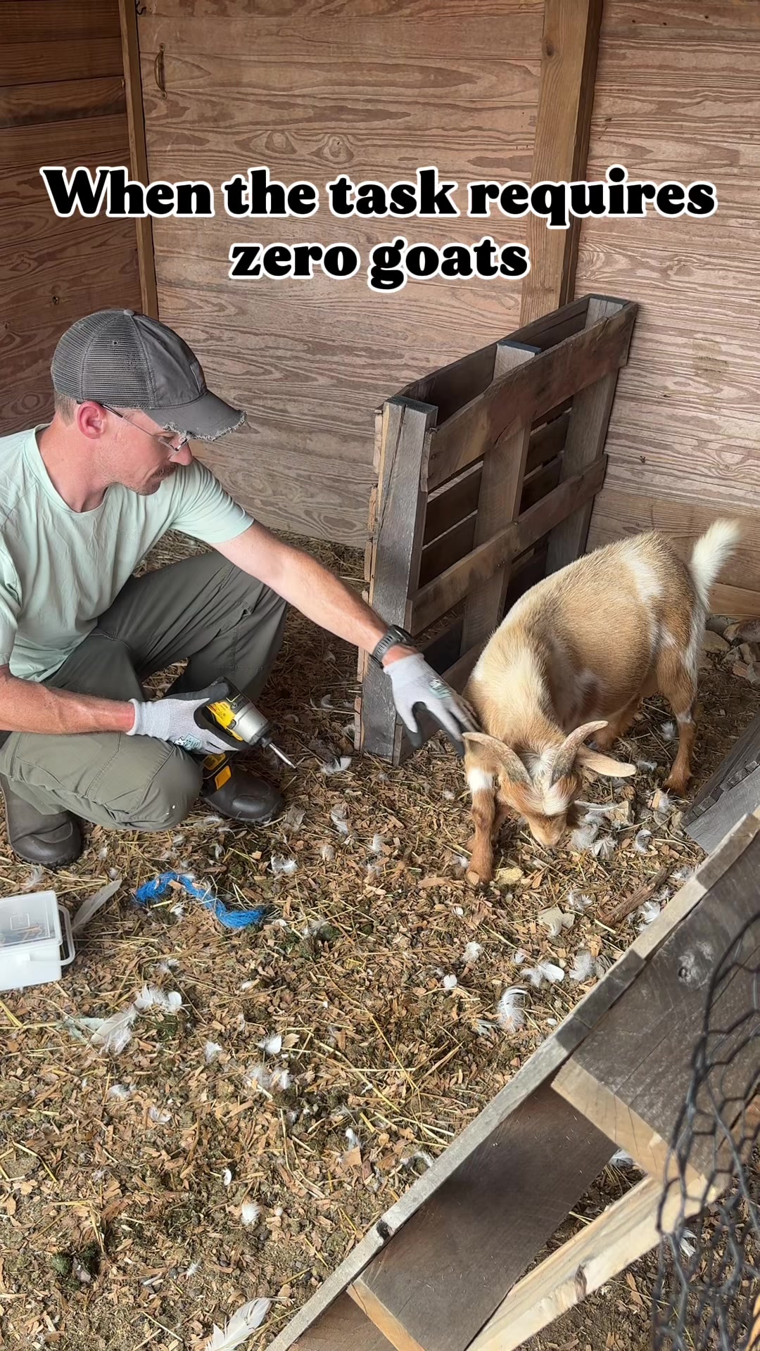 @Mindy | Pretend Farmer