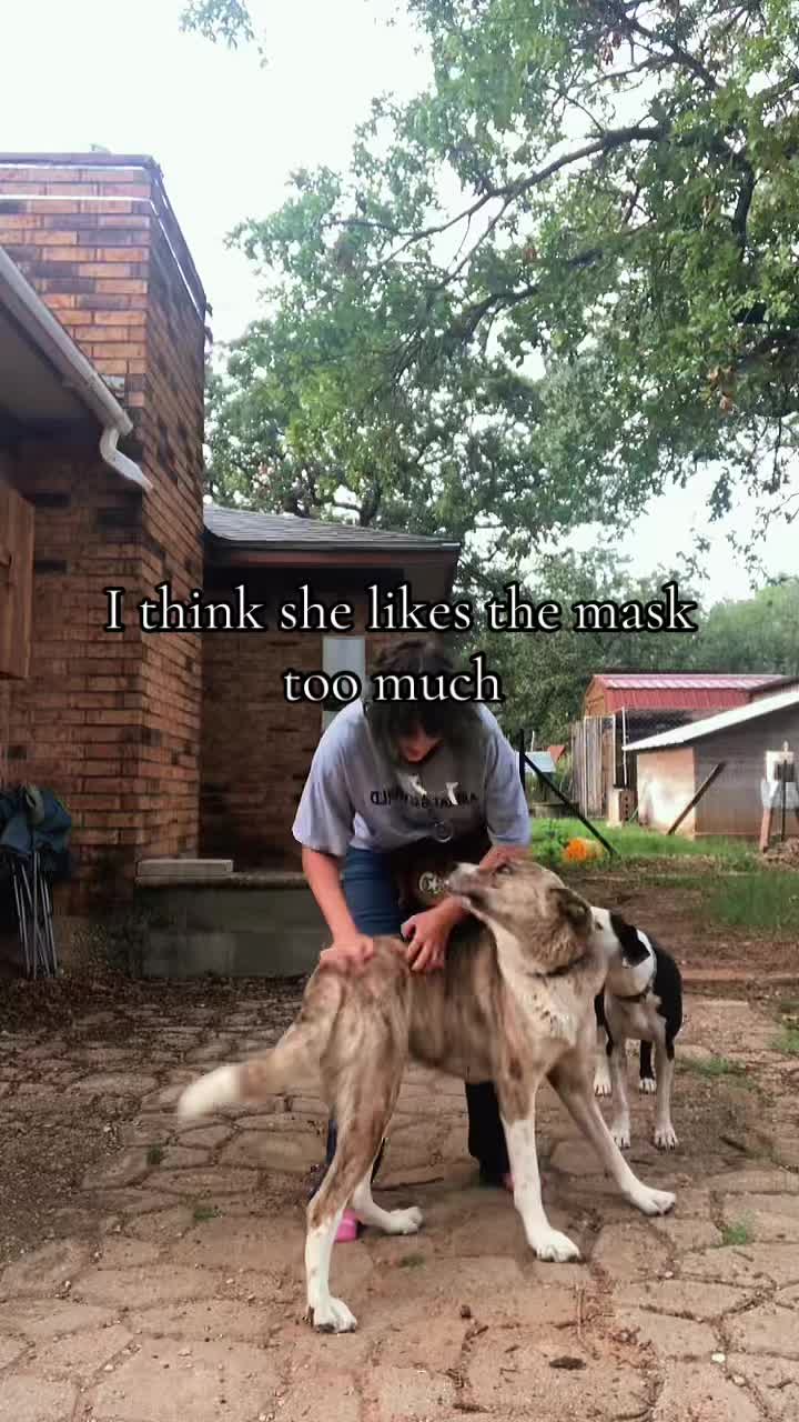 @🦴_𝘰𝘚𝘤𝘰𝘹𝘢𝘦_🦴