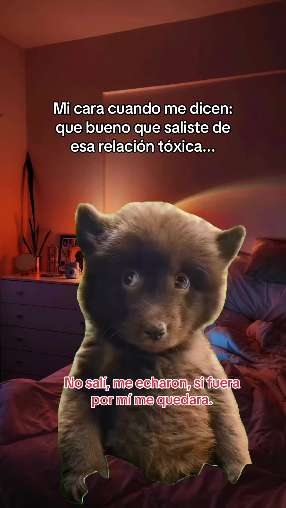 @💜🇭🇳🍫Chocolatito🍫🇭🇳💜