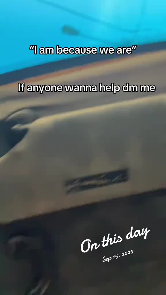 @Mr. Pull up n eat no kill