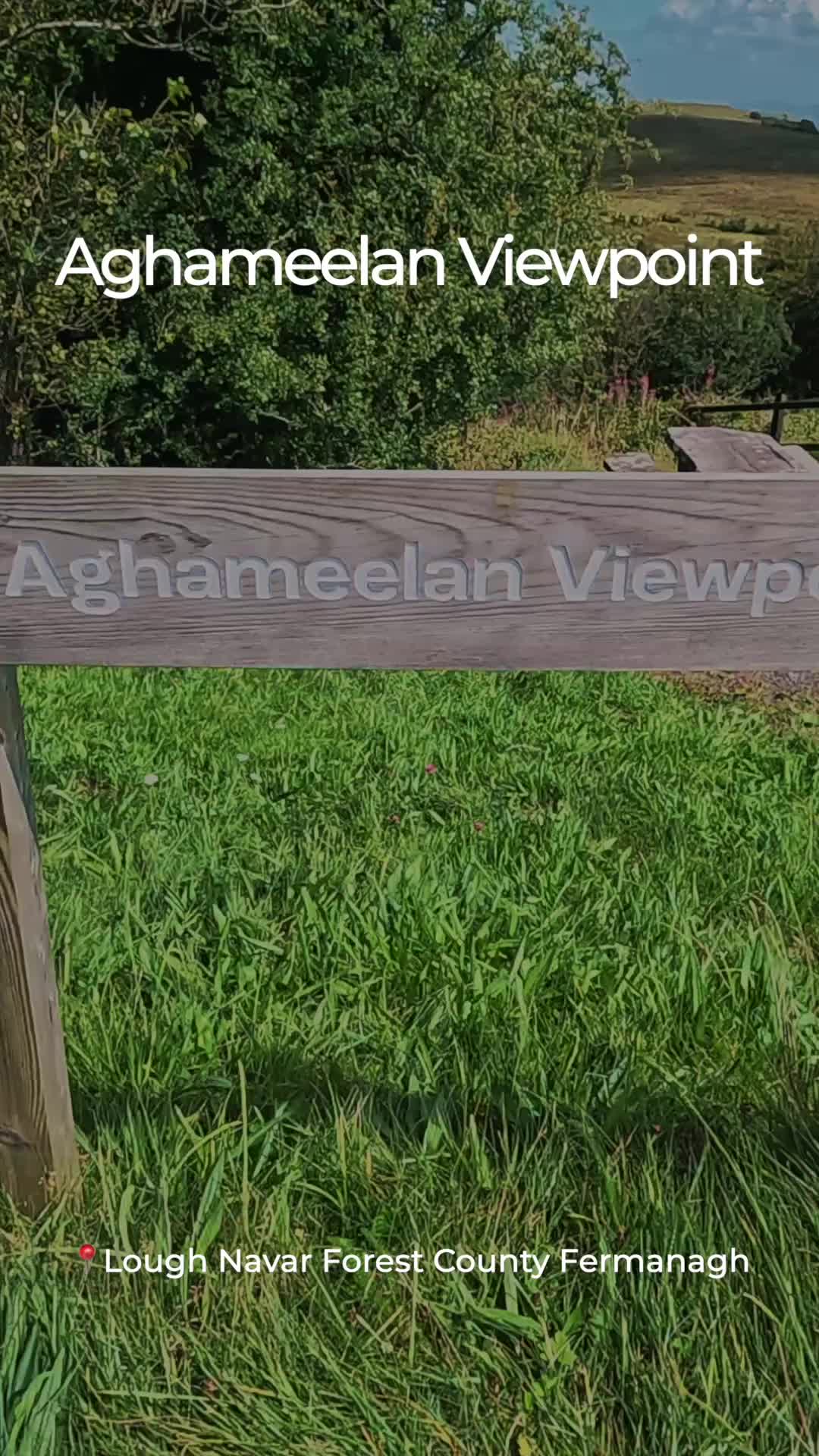 @Margaret - Avante Video