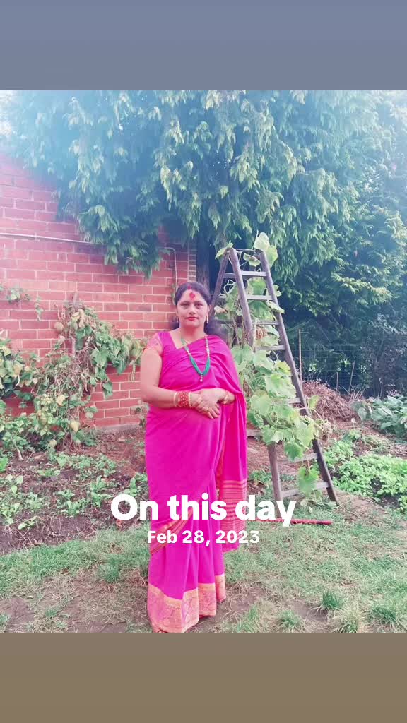 @bishnusharma914