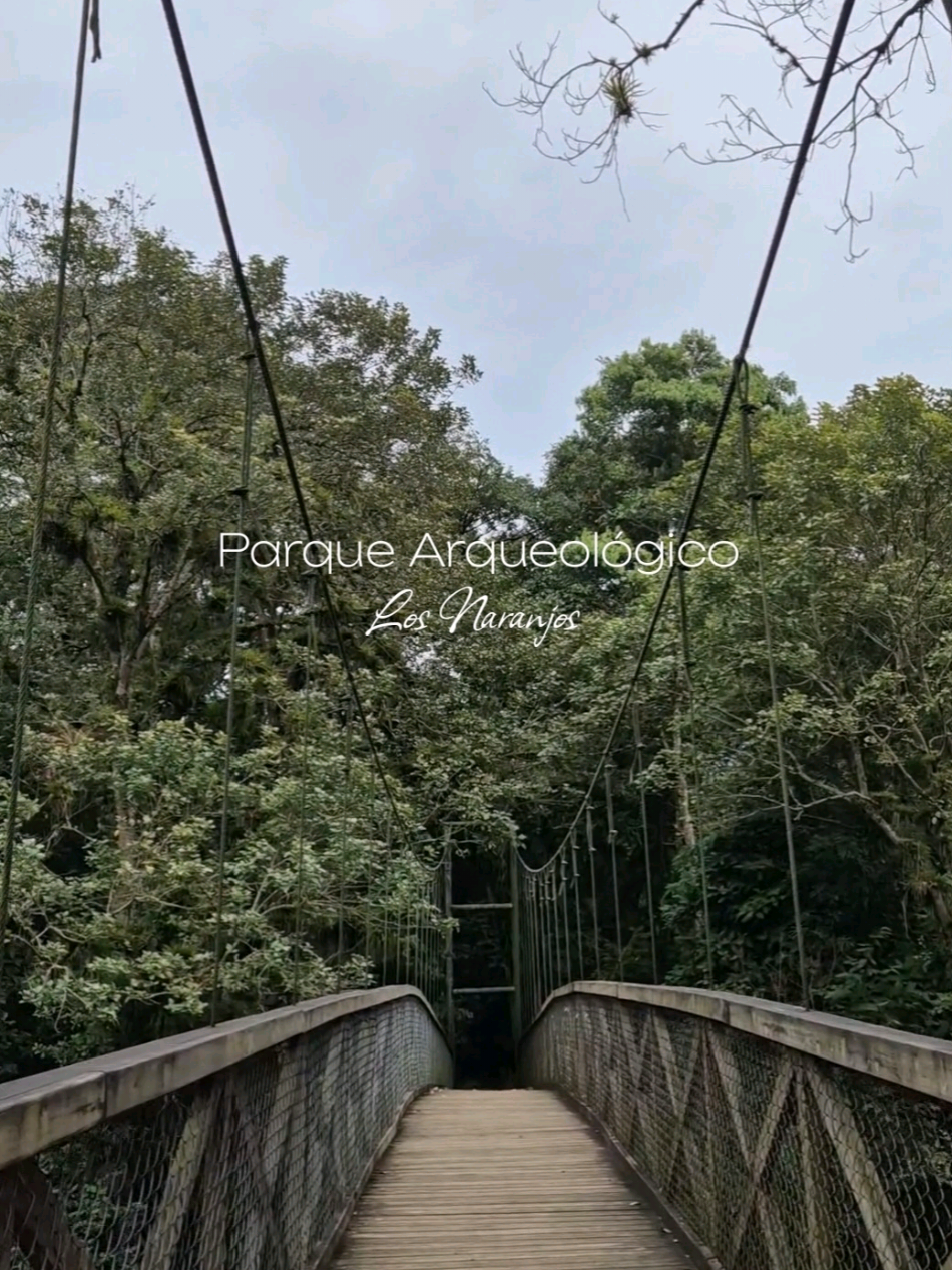 @𝐾𝑒𝑦𝑙𝑖𝑛 𝐶𝑎𝑠𝑡𝑟𝑜 ʚɞ