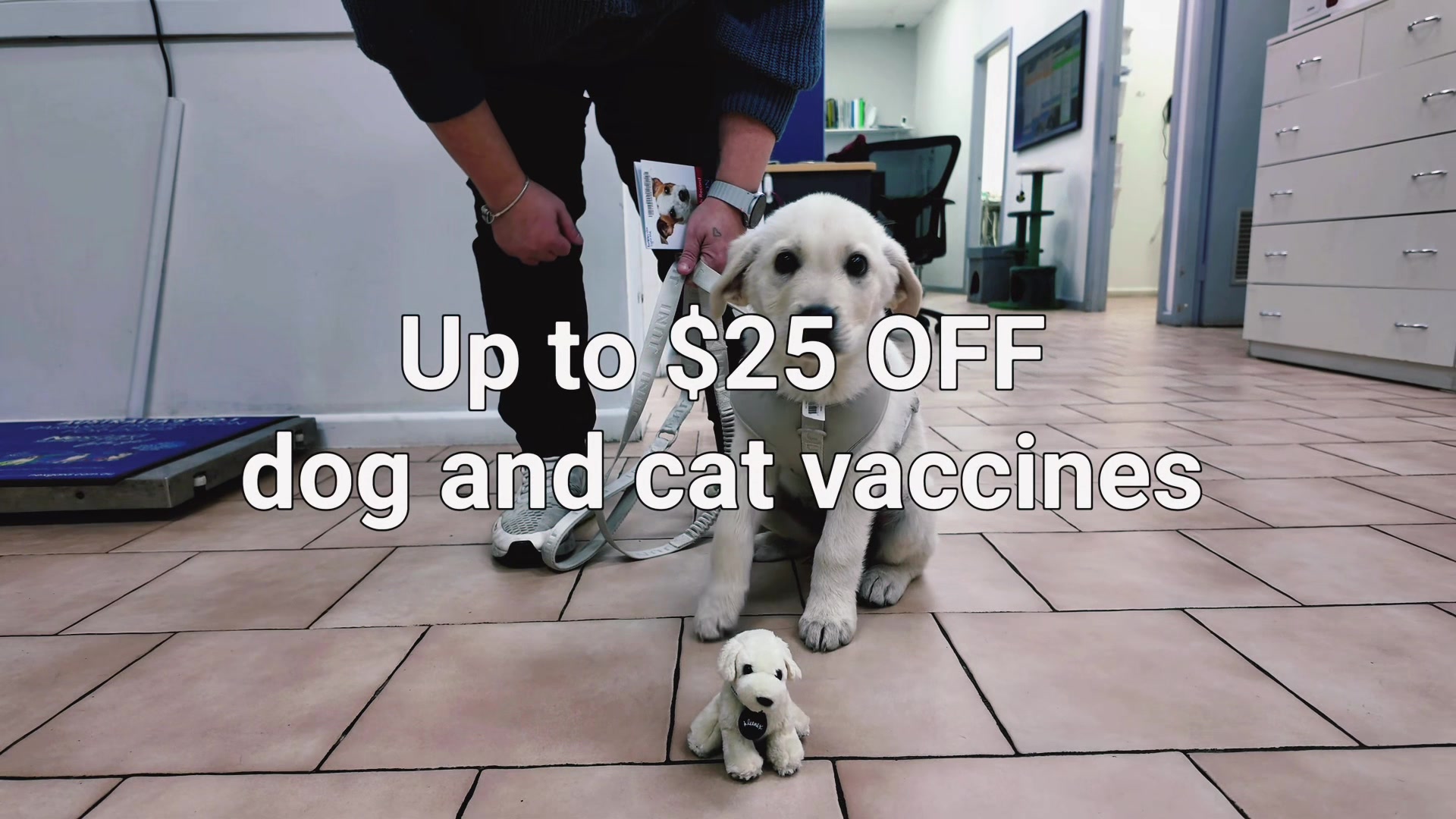 @Vets for Pets