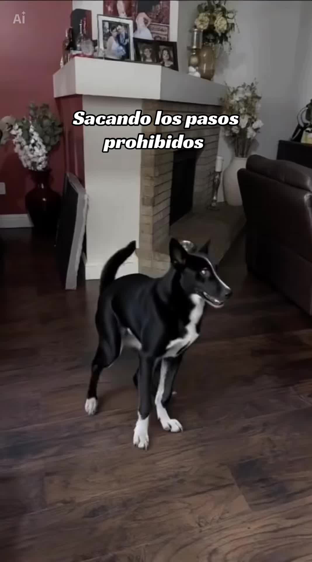 @Lore Cardenas