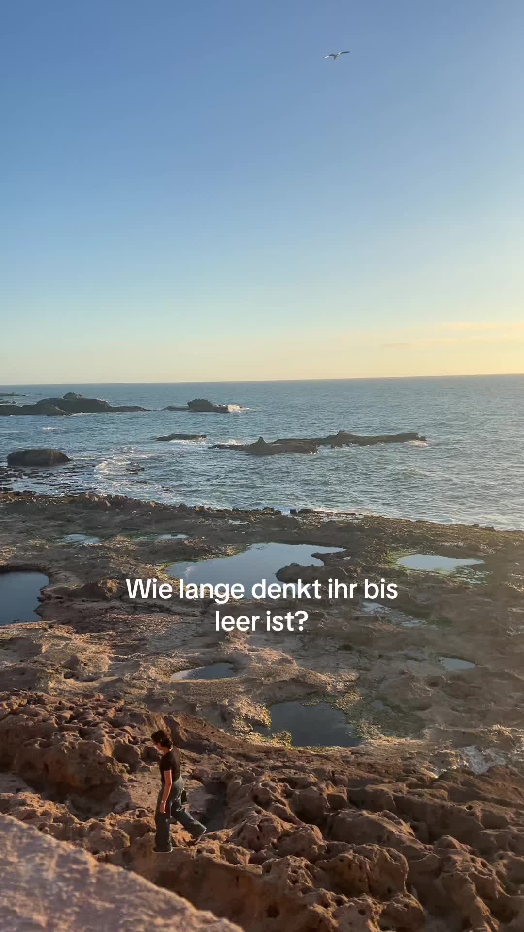 @lara___hro