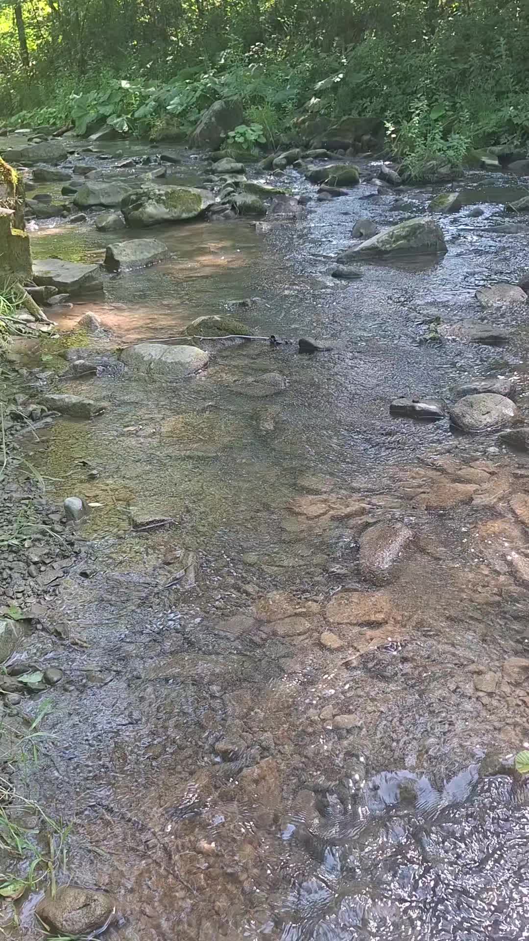 @Kasiunia 🇵🇱🇩🇪