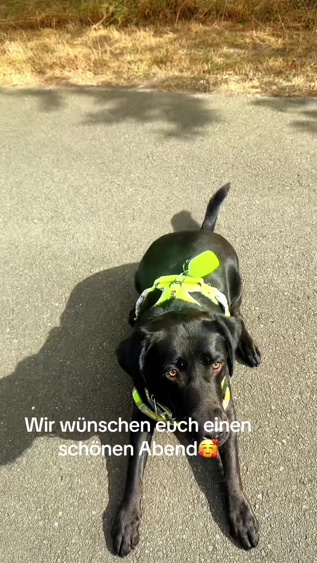 @Tanja