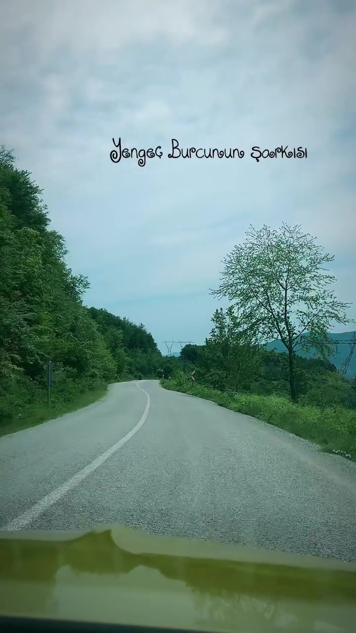 @mavili781