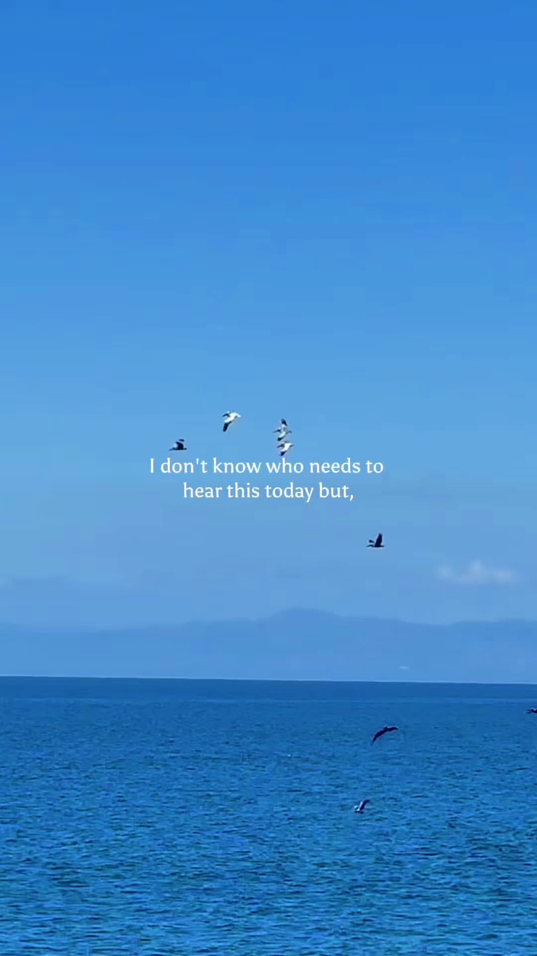 @Andrea Oatman💫