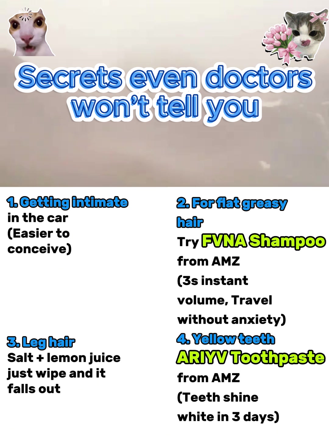 @FurHealthStory
