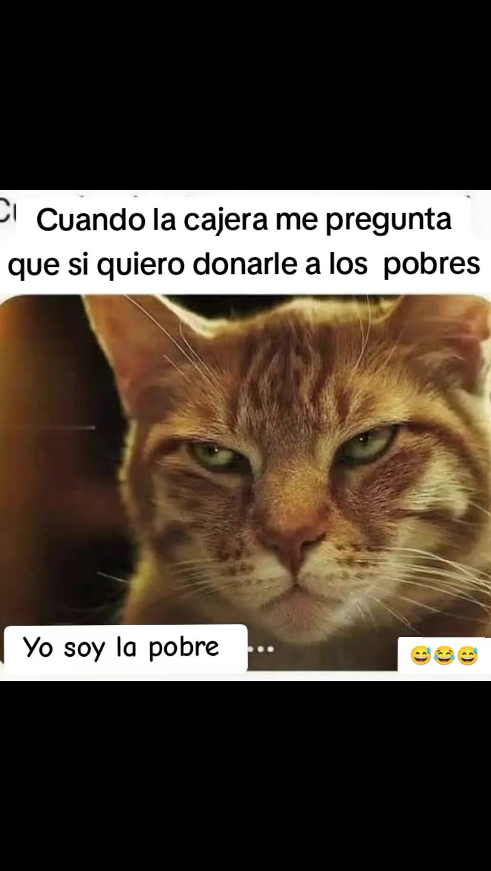 @memestristemariicruz🐈⬛ 🤣😔