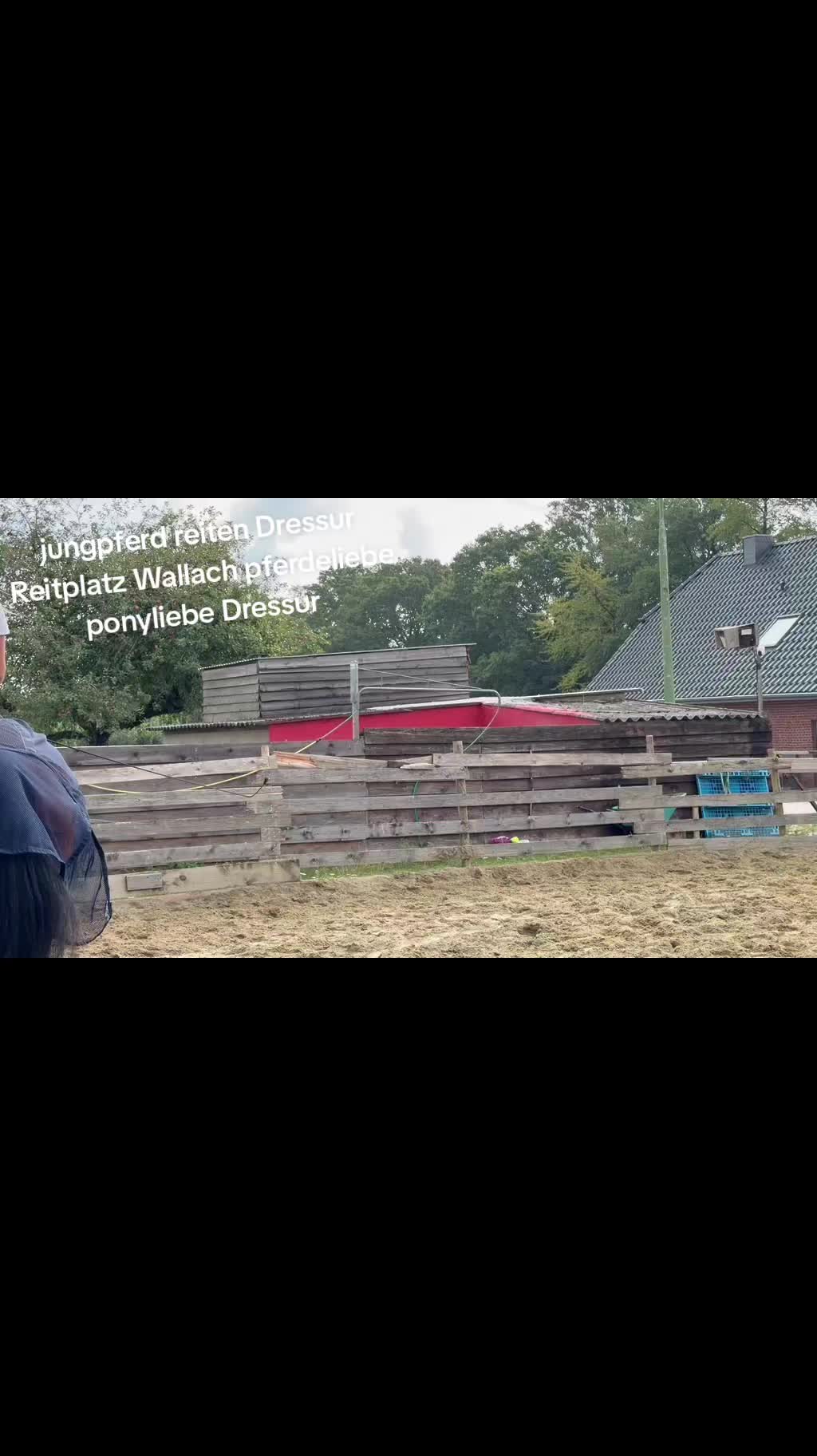@Steffis_horse_world