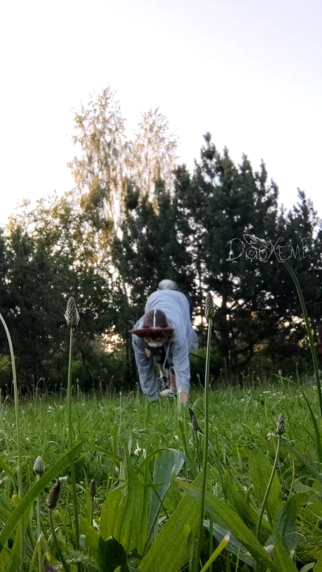 @🦴.𝙳𖦹𝚐𝚡𝚎𝚖𝚎!!