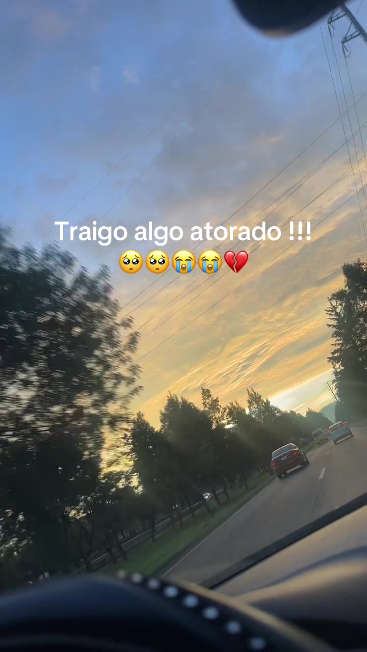 @Susa 🩷