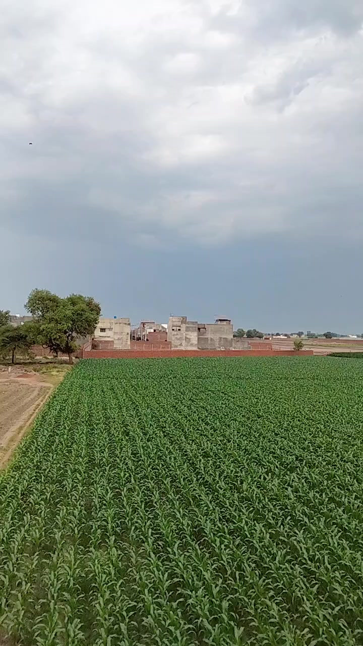 @qasirnaar786
