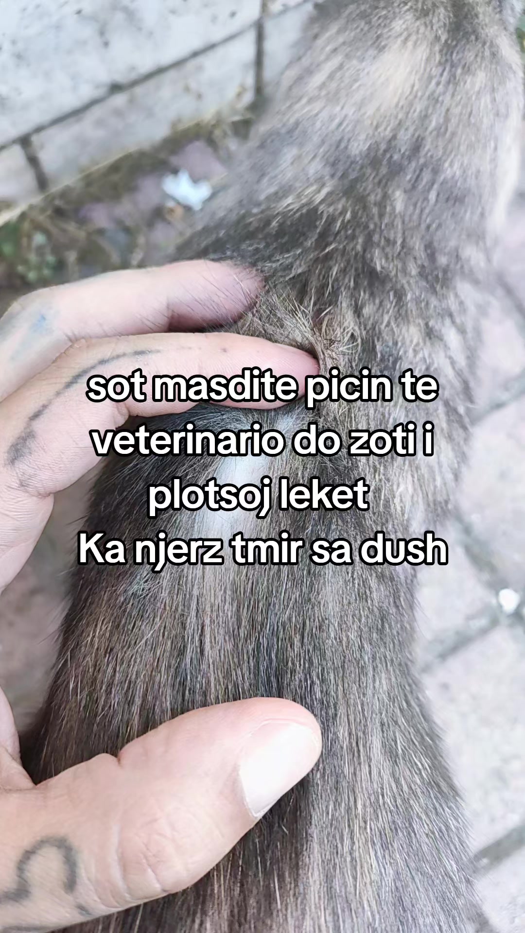 @Keberoma8