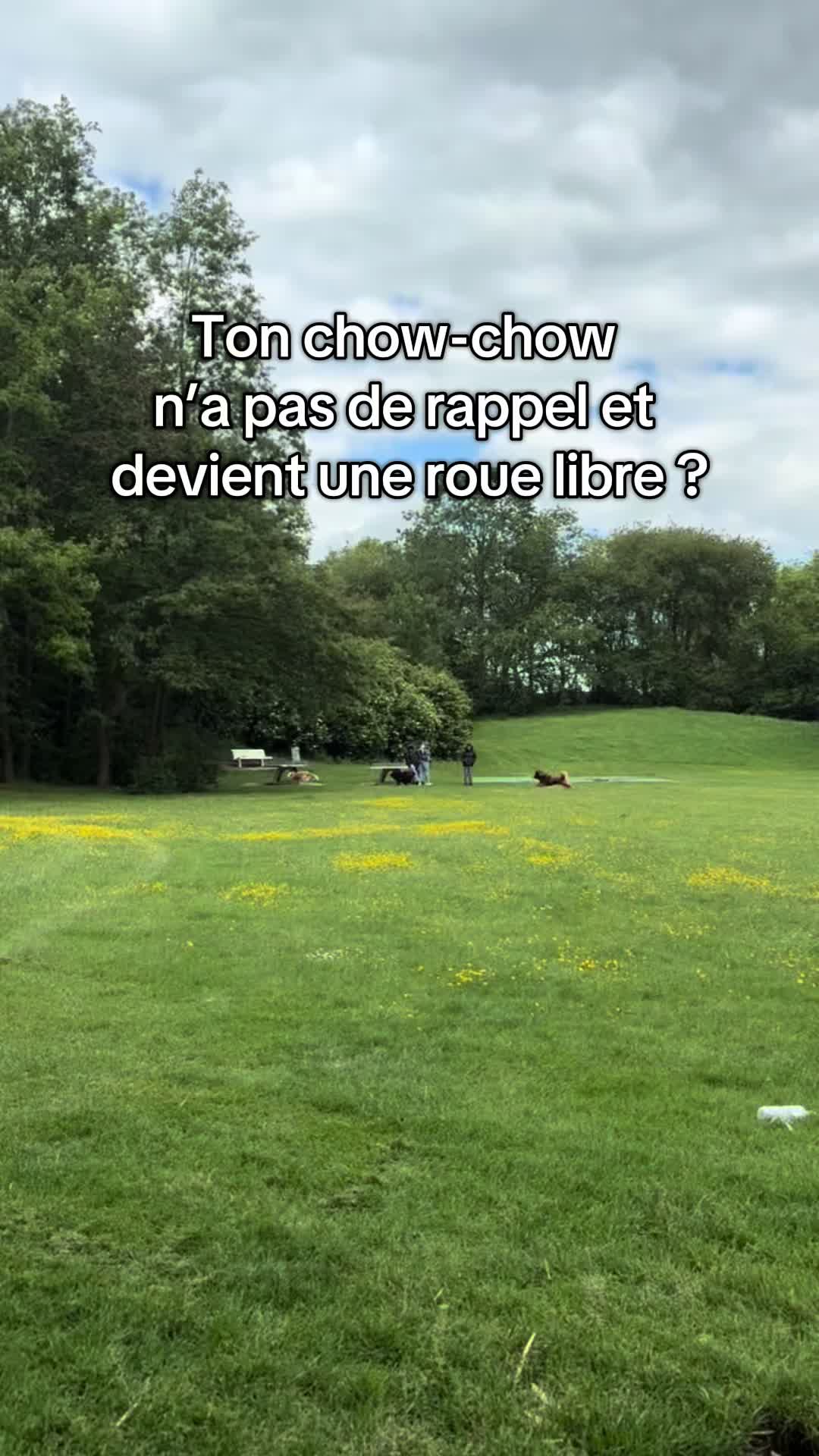 @Nounours et compagnie