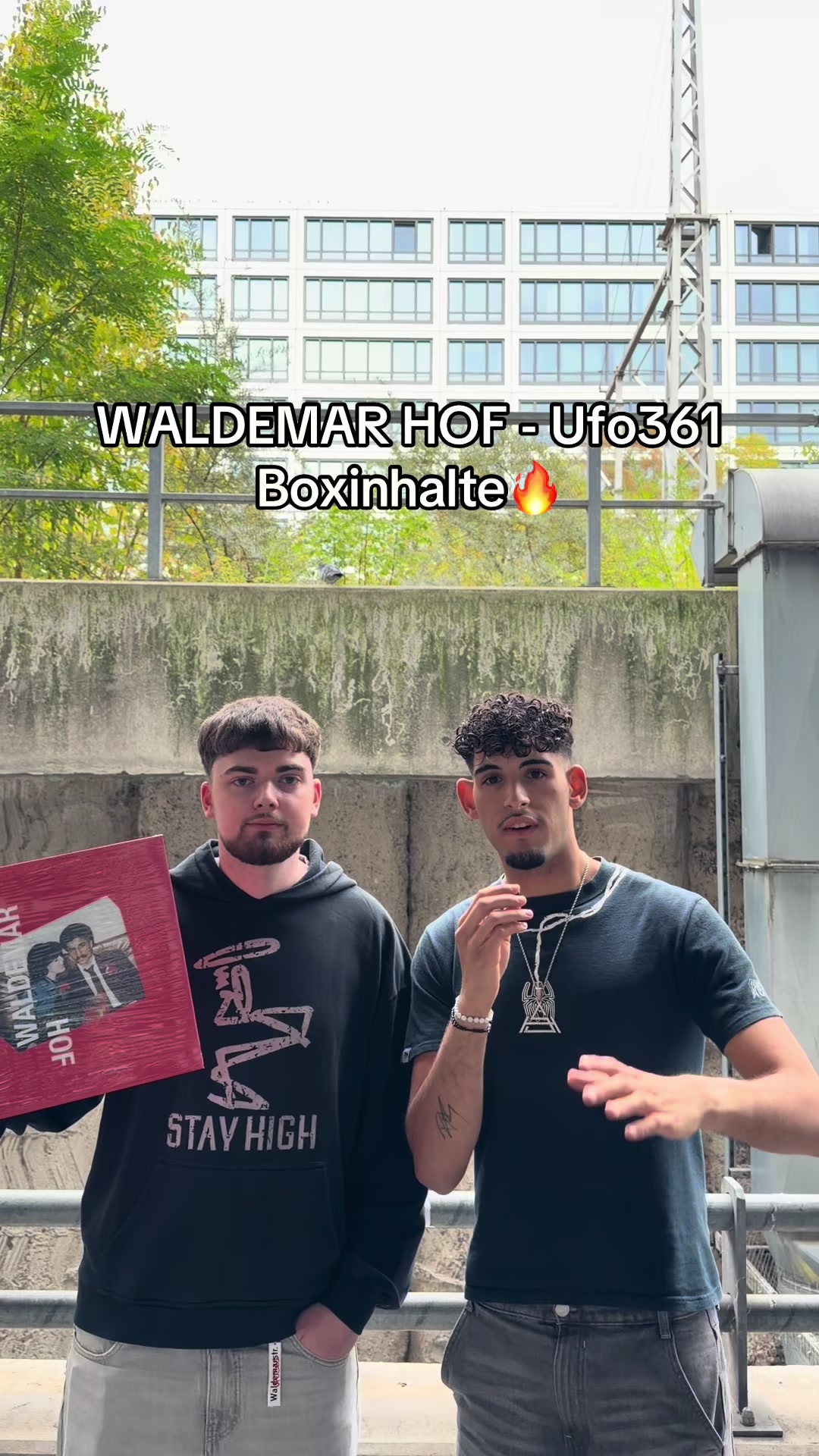@einfachxali