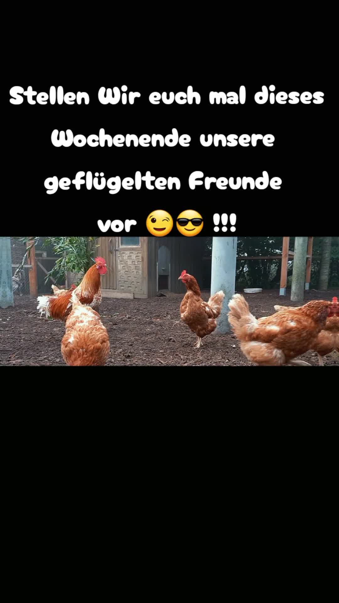 @🦚🆃𝓲𝓮𝓻🅿𝓪𝓻𝓴🆃𝓸𝓴🦚