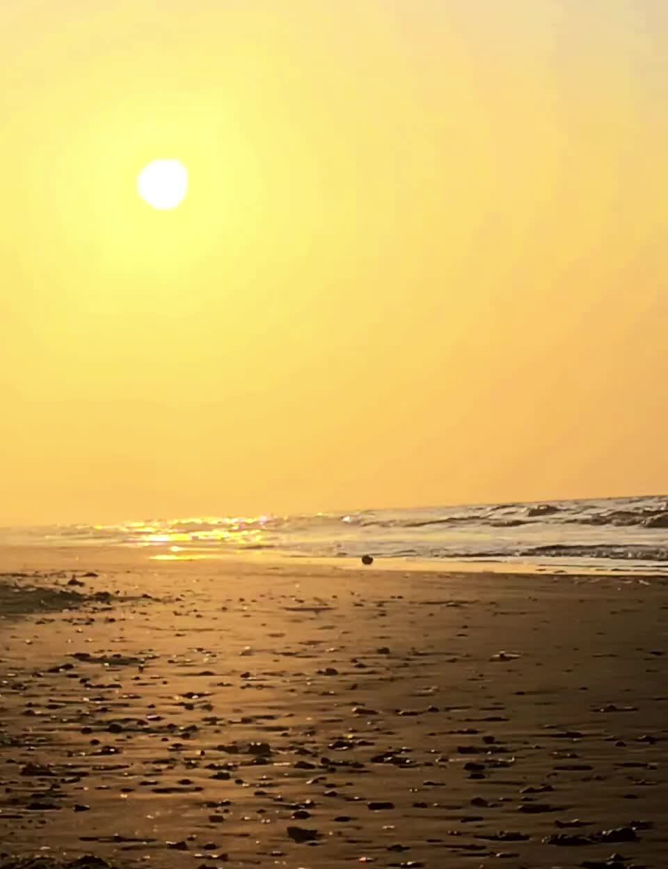 @BeachDayz40