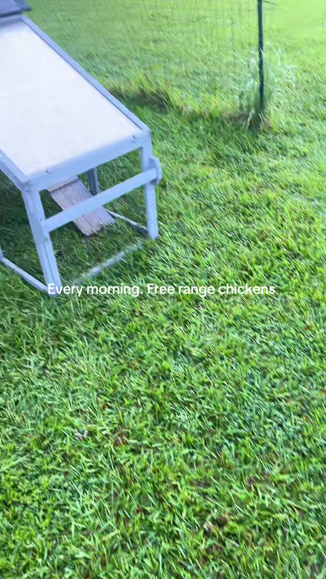 @A M B E R 🗝️