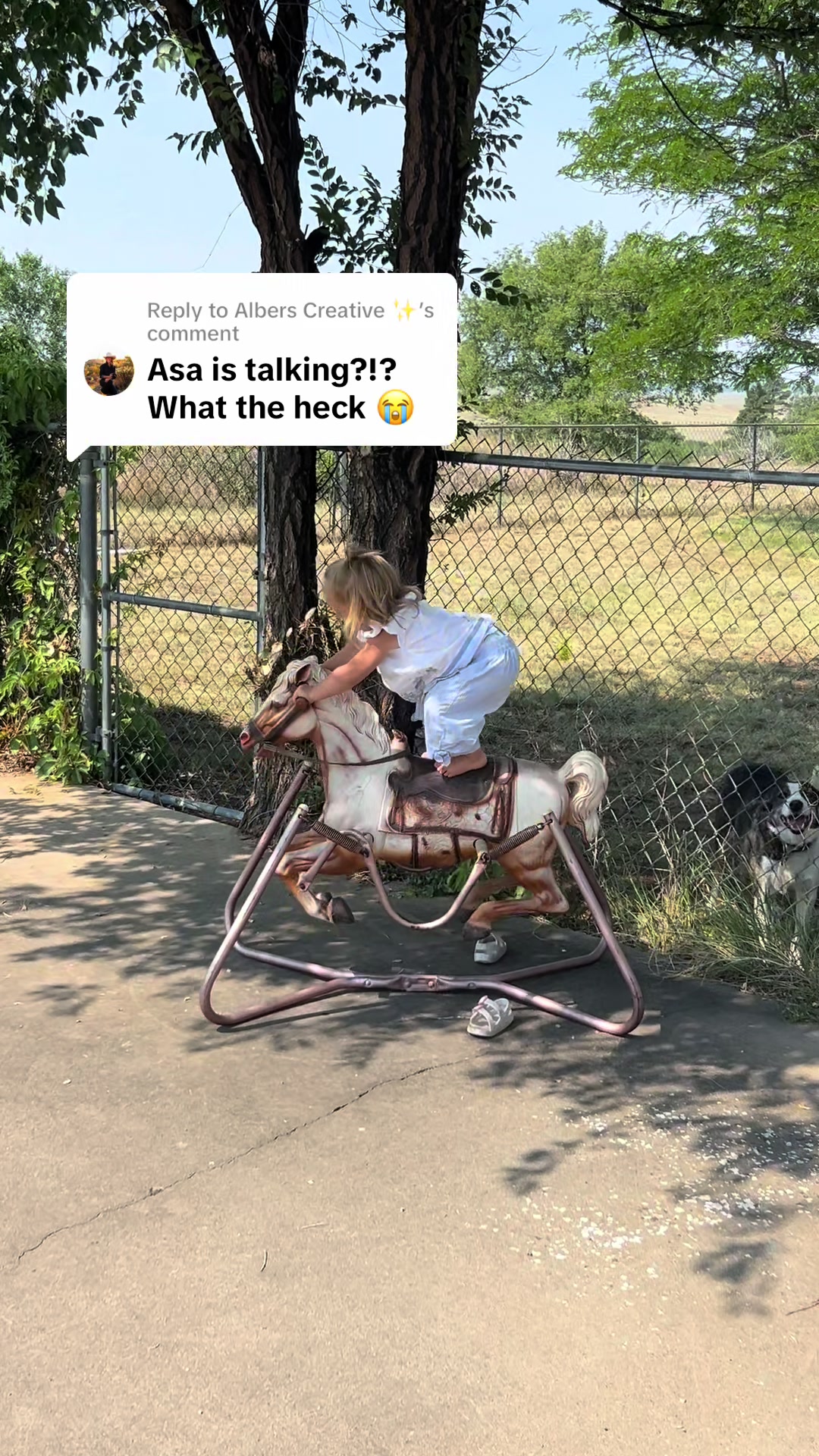 @cowgirlcommentary