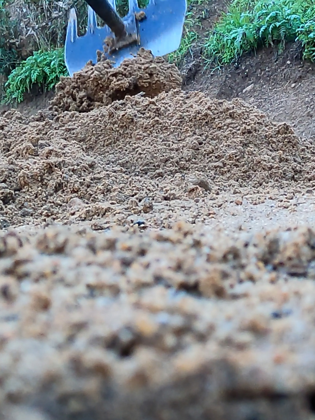 @California Conservation Corps