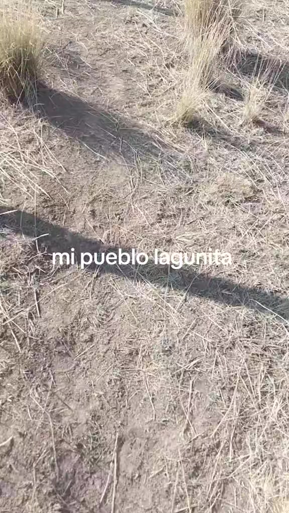@user.1234