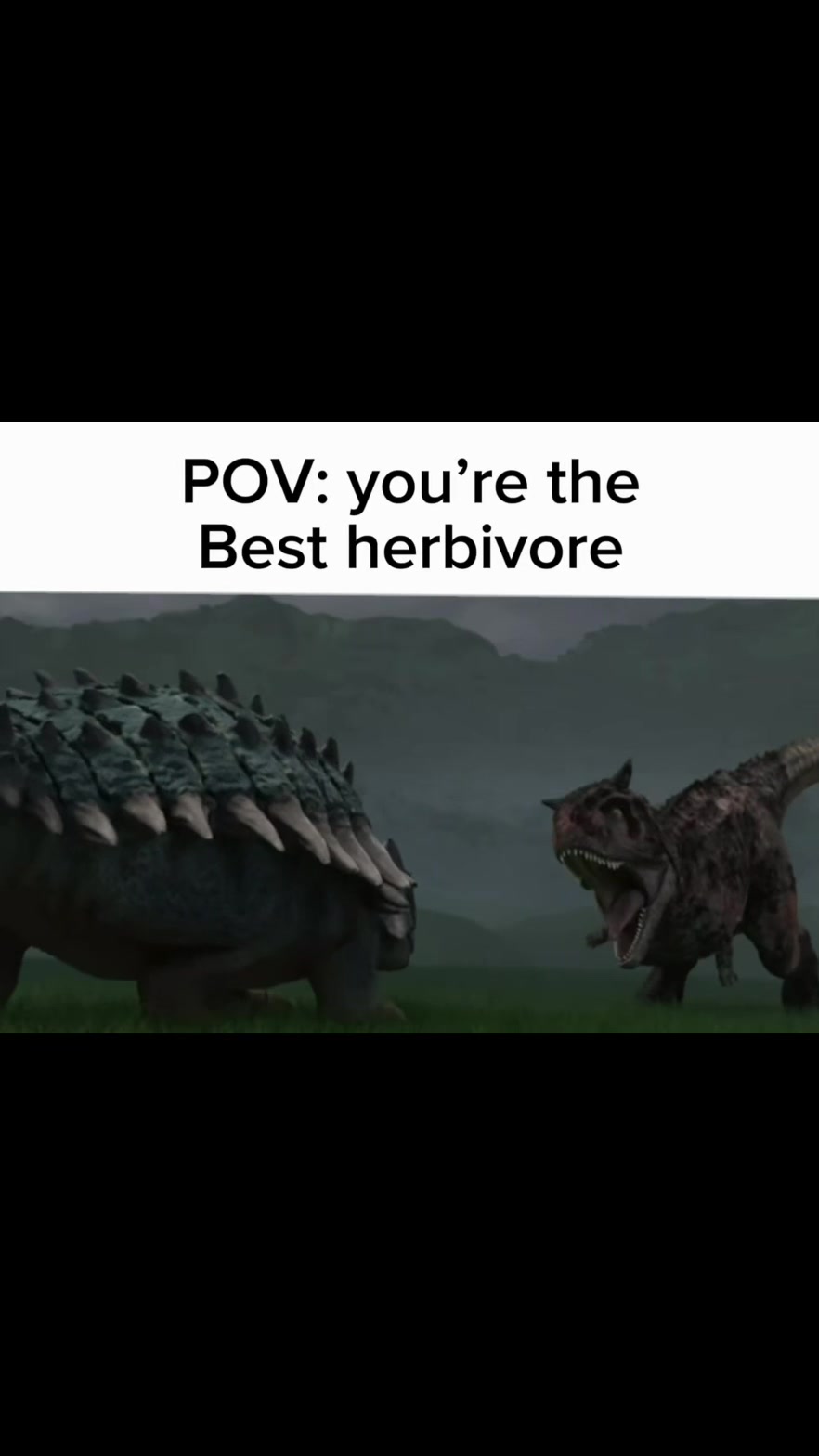 @chippy the yutyrannus